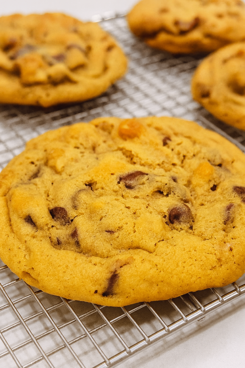 Golden chocolate chip cookies cooling on a wire rack